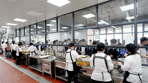竹山縣教育局 以高質量服務為引擎，全面助推區域教育高質量發展——聚焦教育咨詢服務的創新實踐